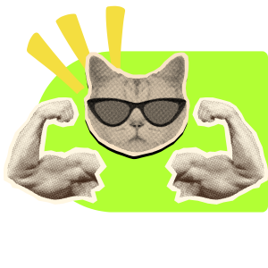 Silna moderacja social media – grafika kota z muskułami symbolizująca bezpieczeństwo i fizyczne klucze U2F.